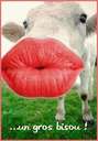 un gros bisou